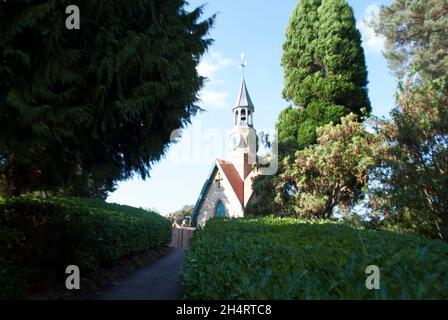 Uhrturm und Bäume und Hecken in Cragside, Rothbury, Northumberland, England, Großbritannien, Vereinigtes Königreich Stockfoto