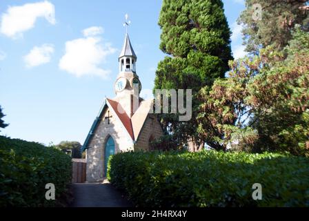 Uhrturm und Bäume und Hecken in Cragside, Rothbury, Northumberland, England, Großbritannien, Vereinigtes Königreich Stockfoto