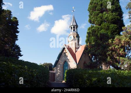 Uhrturm und Bäume und Hecken in Cragside, Rothbury, Northumberland, England, Großbritannien, Vereinigtes Königreich Stockfoto