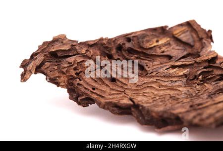 Dbark von Pinus canariensis, feuerbeständige Kanarienkiefer, durch Waldbrand beschädigt und folglich durch Barkenkäfer natürlicher Hintergrund entwickelt mit Darkta Stockfoto