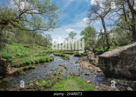 Malham Beck, Sommeransicht von Malham Beck, einem malerischen Bach, der südlich von Malham Cove durch das malerische Malhamdale, North Yorkshire Dales, England, Großbritannien, fließt Stockfoto