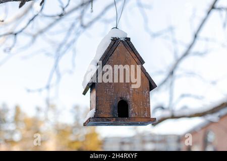 Vogelhaus, das im Winter an einem Baumzweig in der Nähe von Häusern im Hinterhof hängt. Stockfoto