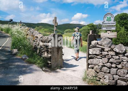 Frau beim Wandern, im Sommer eine Frau, die allein auf dem Pennine Way in Malhamdale wandert, Landschaft von herausragender natürlicher Schönheit in North Yorkshire UK Stockfoto