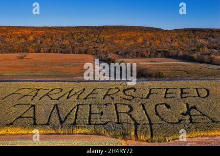 Farmers Feed America Patch - Luftaufnahme des Schildes Farmers füttern Amerika in einem Maislabyrinth, mit Kürbispflaster und Berg im Hintergrund. Stockfoto