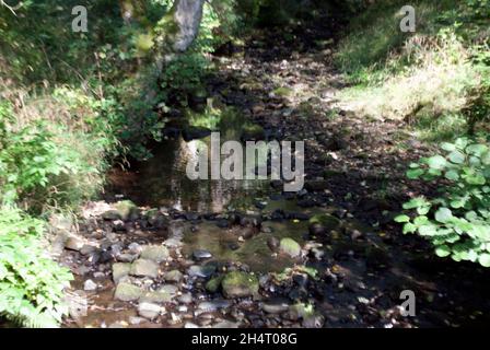 Gesteinsbach in Cragside, Rothbury, Northumberland, England, Großbritannien, Vereinigtes Königreich Stockfoto