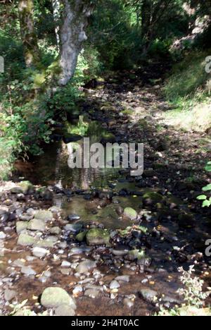 Gesteinsbach in Cragside, Rothbury, Northumberland, England, Großbritannien, Vereinigtes Königreich Stockfoto