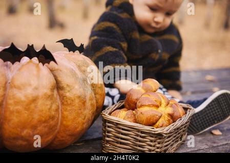 10 Monate altes Baby sitzen mit Kürbis und Brötchen auf einem Holztisch im Herbstwald. Helloween Urlaubskonzept. Stockfoto