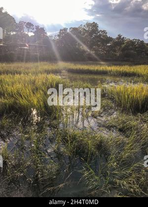 Das Bootshaus und der Yachthafen von Lady's Island, South Carolina, bieten eine wunderbare Aussicht beim Sonnenuntergang. In der Nähe von Beaufort gelegen, ist es eine atemberaubende Meerinsel. Stockfoto