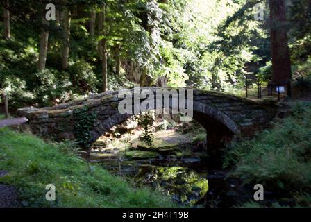 Steinbogenfußbrücke über Bach in Holz in Cragside, Rothbury, Northumberland, England, Großbritannien, Vereinigtes Königreich Stockfoto