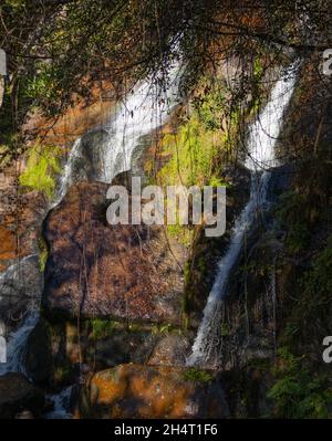 Wasserfall im Wald Stockfoto