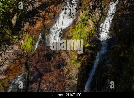 Wwasserfall in freier Wildbahn Stockfoto