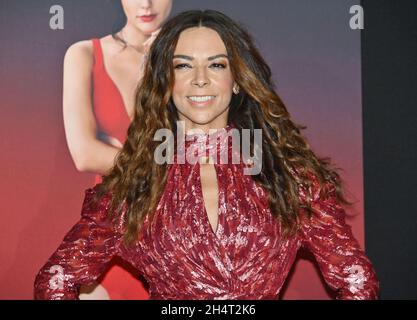 LOS ANGELES, CA - 03. NOVEMBER: Terri Seymour nimmt an der Weltpremiere von Netflix's 'Red Notice' in L.A. Teil LIVE am 03. November 2021 in Los Angeles, Kalifornien. Stockfoto