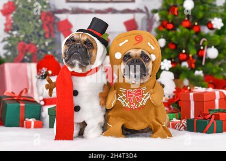 Lustige Weihnachtshunde. Französische Bulldoggen tragen Schneemann- und Lebkuchenkostüme zwischen saisonaler Dekoration Stockfoto