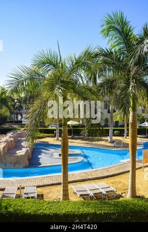 Schwimmbad mit klarem blauen Wasser auf dem Hintergrund von Palmen ohne Menschen. Rund um den Pool befinden sich Liegestühle und Sonnenschirme. Speicherplatz kopieren Stockfoto