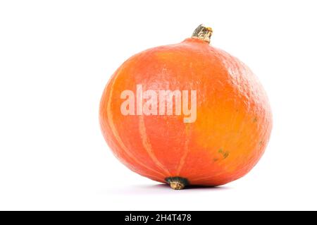 Reif orange Kürbis auf weißem Hintergrund. Frischer Kopf von Kürbis auf weiß isoliert. Studioaufnahme. Nahaufnahme. Bio-Anbau, gesunde Ernährung, Bio-Viands, zurück Stockfoto