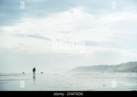 Der hundefreundliche Strand Sandsend ist der perfekte Ort für Wanderhunde, hier, wo sich der Meeresnebel aufhebt. North Yorkshire, Großbritannien Stockfoto