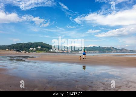 Der hundefreundliche Strand, Sandsend, ist das ganze Jahr über der perfekte Ort für Wanderhunde, hier an einem schönen sonnigen Tag. North Yorkshire, Großbritannien Stockfoto