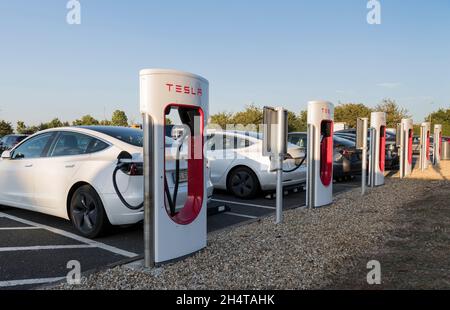 Eine Reihe von Tesla-Ladegeräten für Elektroautos, die an einem klaren Herbstabend im warmen Licht der untergehenden Sonne auf einem Autobahnzubringer geladen sind. Stockfoto