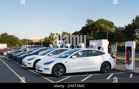 Eine Reihe von Tesla-Elektroautos, die an einem klaren Herbstabend im warmen Licht der untergehenden Sonne auf einem Autobahnrastgelände geladen werden. Stockfoto