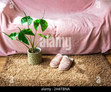 Rosa Slipper und Alocasia Stingray Pflanzen auf dem braunen Teppich. Rosa Sofa auf dem Hintergrund. Hygge-Konzept. Stockfoto