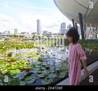 Ein junges Mädchen, das neben einem lili-Teich im ArtScience Museum in Marina Bay Sands in Singapur läuft. Stockfoto