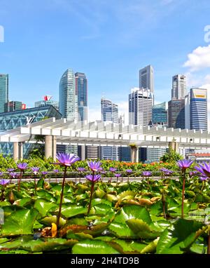 Blick auf den Seerosenteich neben dem ArtScience Museum am Marina Bay Sands mit der Skyline des Finanzviertels von Singapur im Hintergrund. Stockfoto