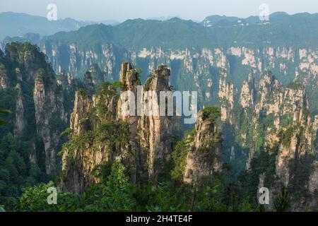 Quarzit-Sandsteinsäulen im Tianzi-Gebirge im Steinwald des Zhangjiajie National Forest Park, China. Stockfoto