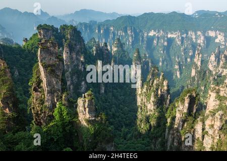Quarzit-Sandsteinsäulen im Tianzi-Gebirge im Steinwald des Zhangjiajie National Forest Park, China. Stockfoto