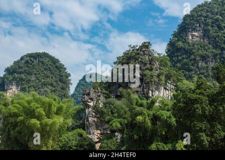 Bambus und bewaldete Kalksteinkarsthügel im Tal des Flusses Li in der Nähe von Yangshuo, China. Stockfoto