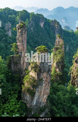 Quarzit-Sandsteinsäulen im Tianzi-Gebirge im Steinwald des Zhangjiajie National Forest Park, China. Stockfoto