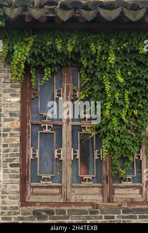 Ivy wächst auf einem traditionellen geschnitzten Holzfenster in einem alten Gebäude in der Pan Gate Scenic Gegend, Suahou, China. Stockfoto