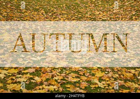 HERBST, Grußtext auf bunten Herbst Blätter Hintergrund. HERBSTTEXT. Wort Herbst. Kreatives Naturkonzept. Minimale flache Verlegung. Poster, Banner Stockfoto