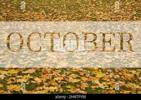 Oktober, Grußtext auf bunten Herbst Blätter Hintergrund. Wort Oktober mit bunten Blättern. Kreatives Naturkonzept. Minimale flache Verlegung. Stockfoto