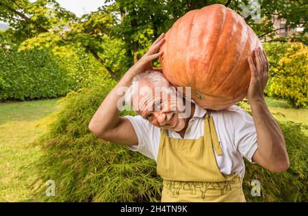 Glücklicher älterer Mann mit großem orangefarbenem Kürbis auf seiner Schulter. Stockfoto