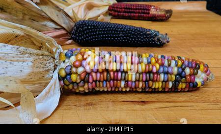 Mehrfarbige Maiskolben aus Feuerstein mit Körnern in verschiedenen Farbtönen; Herbstfarben, Dekorationen für die Weihnachts- und Thanksgiving-Feiertage. Stockfoto