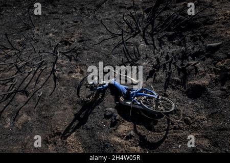 Folgen eines Waldbrands im Navalacruz- oder Navalcruz-Wald, Navalacruz oder Navalcruz, Avila, spanien Stockfoto