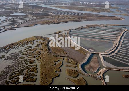 Luftaufnahme auf Sümpfen und Salinen, Naturpark Bahia de Caliz. Costa de la Luz, Provinz Cádiz, Andalusien, Spanien Stockfoto