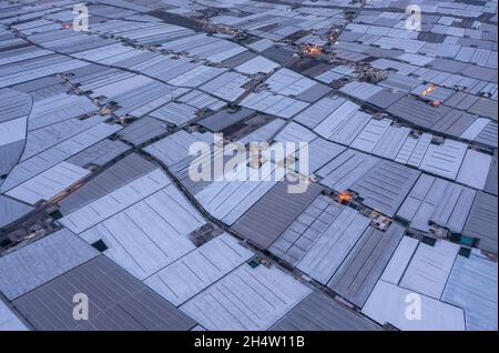 Gewächshäuser. Meer aus Kunststoffen. Roquetas de Mar, Alameria, Spanien Stockfoto
