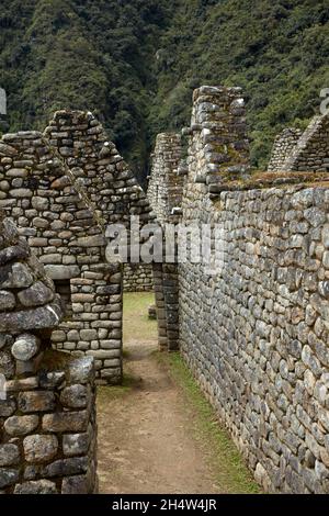 Historische Ruinen der Inka-Stadt in Winaywayna, auf dem Inca Trail nach Machu Picchu, Peru, Südamerika Stockfoto