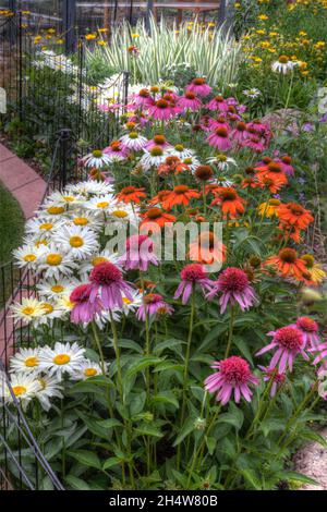 Ein ausdauernder Garten auf seinem Höhepunkt der Blüte in der Mitte des Sommers. Stockfoto