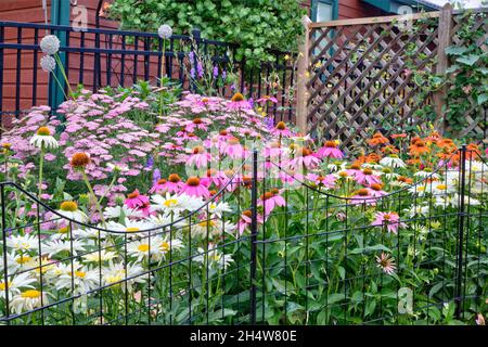 Ein ausdauernder Garten auf seinem Höhepunkt der Blüte in der Mitte des Sommers. Stockfoto
