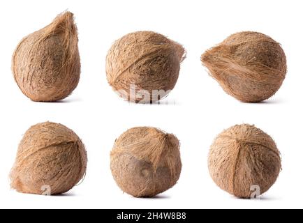 Kokosnuss, Satz von gesunden tropischen Früchten in verschiedenen Winkeln, isoliert auf weißem Hintergrund, Sammlung Stockfoto