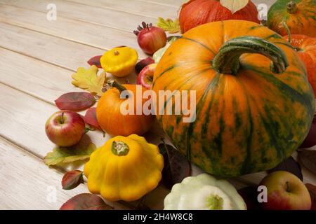 Thanksgiving Hintergrund mit kleinen und großen Kürbissen, gelben Kürbis und Äpfeln auf dem weißen Holztisch, Kopierraum Stockfoto