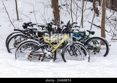 Verlassene Fahrräder mit Schnee bedeckt, geparkt in der Nähe von Bäumen im Winter Stockfoto