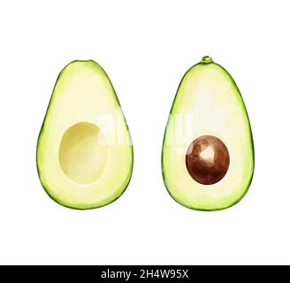 Aquarell-Set mit Avocado-Hälften auf weißem Hintergrund. Handgezeichnete Abbildung Stockfoto