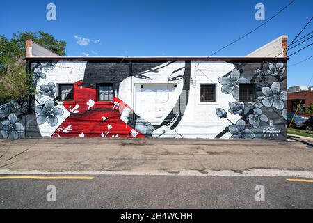 Wandmalereien im Rino Art District in Denver, Colorado, USA Stockfoto