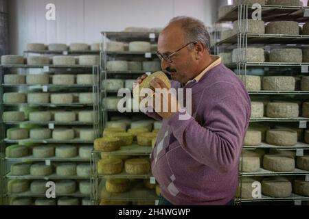 Pecorino Käseherstellung in den Abruzzen, Italien. Stockfoto