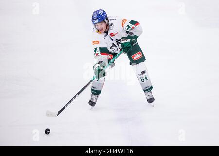 Ingolstadt, Deutschland. November 2021. Eishockey: DEL, ERC Ingolstadt - Augsburg Panther, Hauptrunde, Matchday 19, Saturn Arena. Jesse Graham aus Augsburg spielt den Puck. Quelle: Matthias Balk/dpa/Alamy Live News Stockfoto