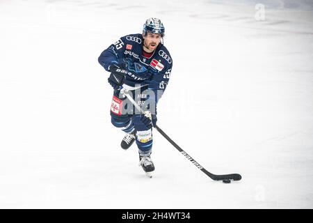 Ingolstadt, Deutschland. November 2021. Eishockey: DEL, ERC Ingolstadt - Augsburger Panther, Hauptrunde, Matchday 19, Saturn Arena. David Warsofsky aus Ingolstadt spielt den Puck. Quelle: Matthias Balk/dpa/Alamy Live News Stockfoto