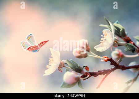 Schöne blühende Kirschbaum, fliegende Schmetterling, Marienkäfer auf Retro-Hintergrund in Sonnenlicht, flache Tiefe. Vintage getönt. Grußkartenvorlage. Nat Stockfoto